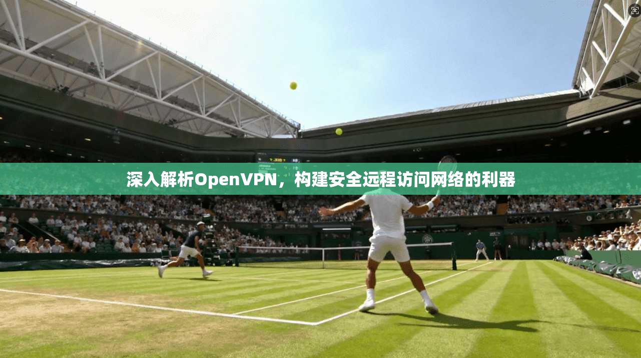 深入解析OpenVPN，构建安全远程访问网络的利器