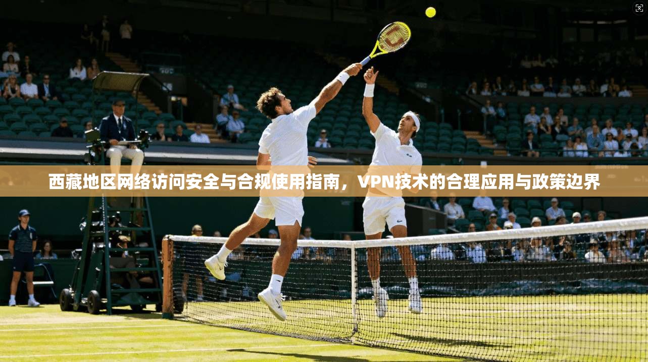 西藏地区网络访问安全与合规使用指南，VPN技术的合理应用与政策边界