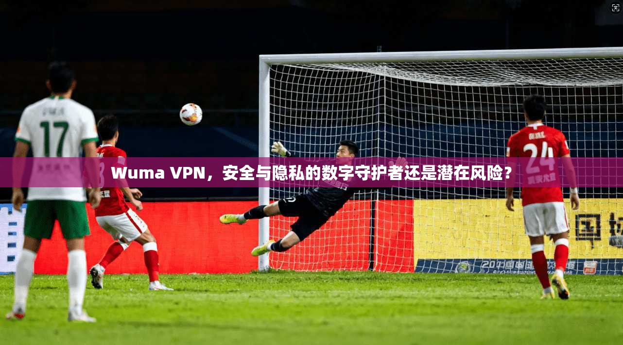 Wuma VPN，安全与隐私的数字守护者还是潜在风险？