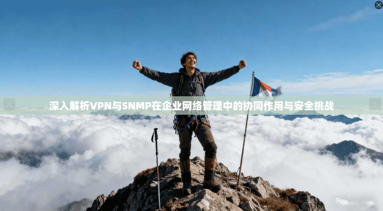 深入解析VPN与SNMP在企业网络管理中的协同作用与安全挑战