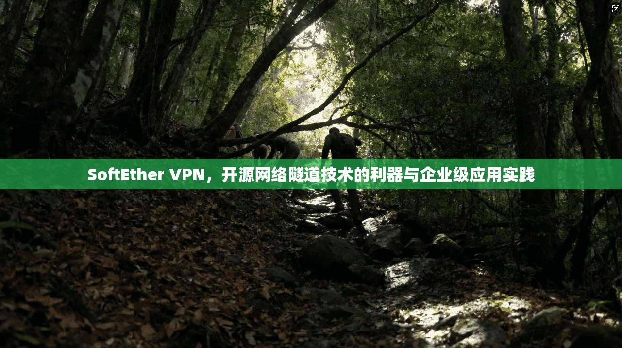 SoftEther VPN，开源网络隧道技术的利器与企业级应用实践