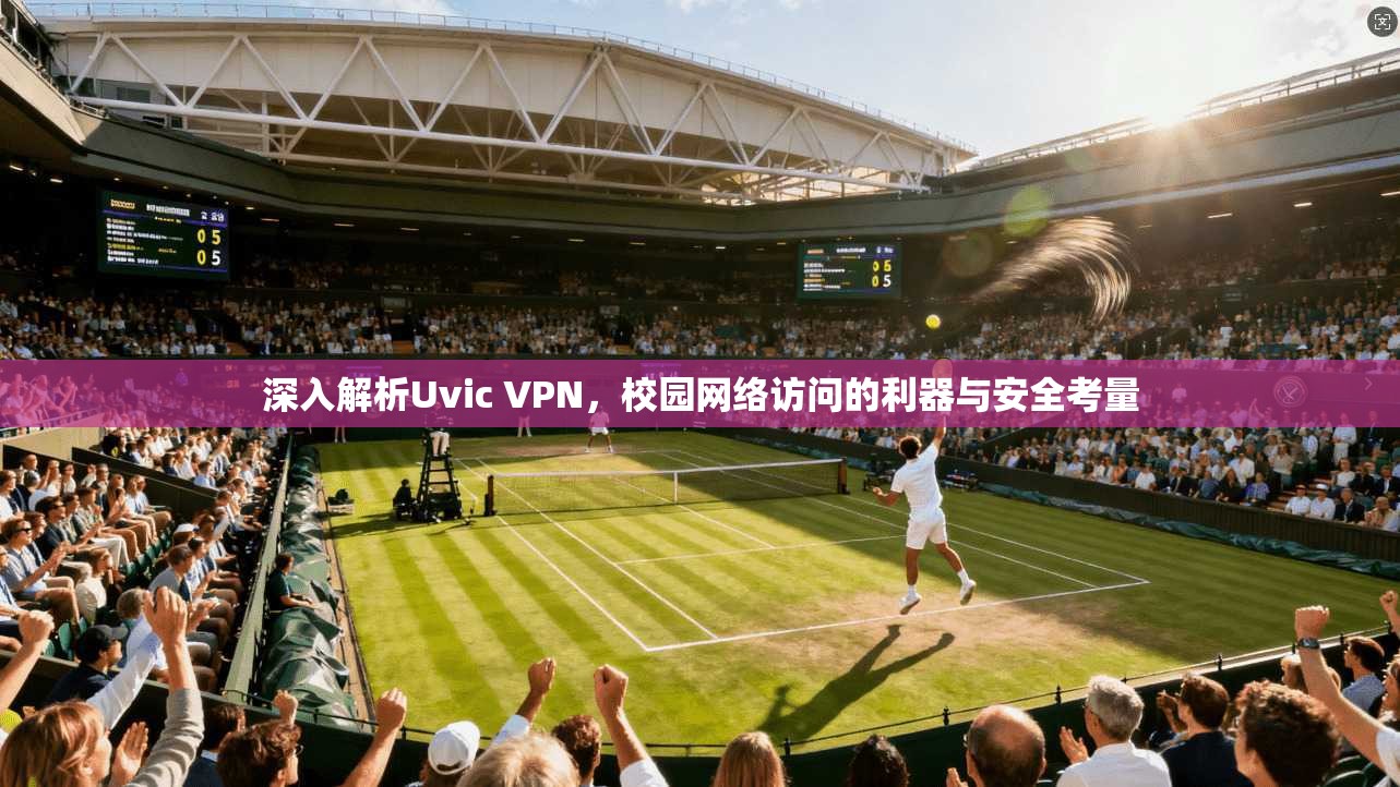 深入解析Uvic VPN，校园网络访问的利器与安全考量