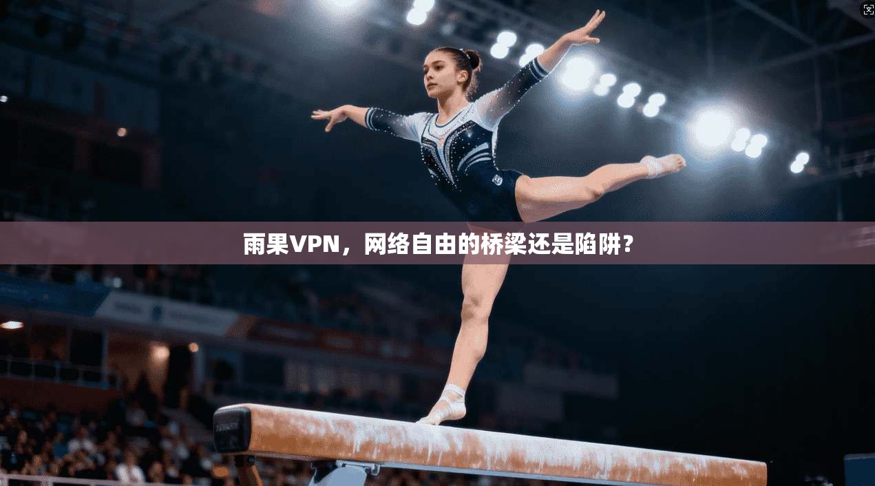 雨果VPN，网络自由的桥梁还是陷阱？
