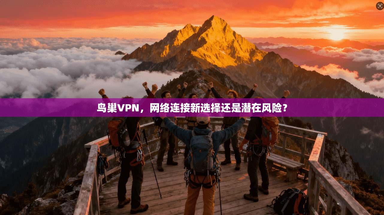 鸟巢VPN，网络连接新选择还是潜在风险？