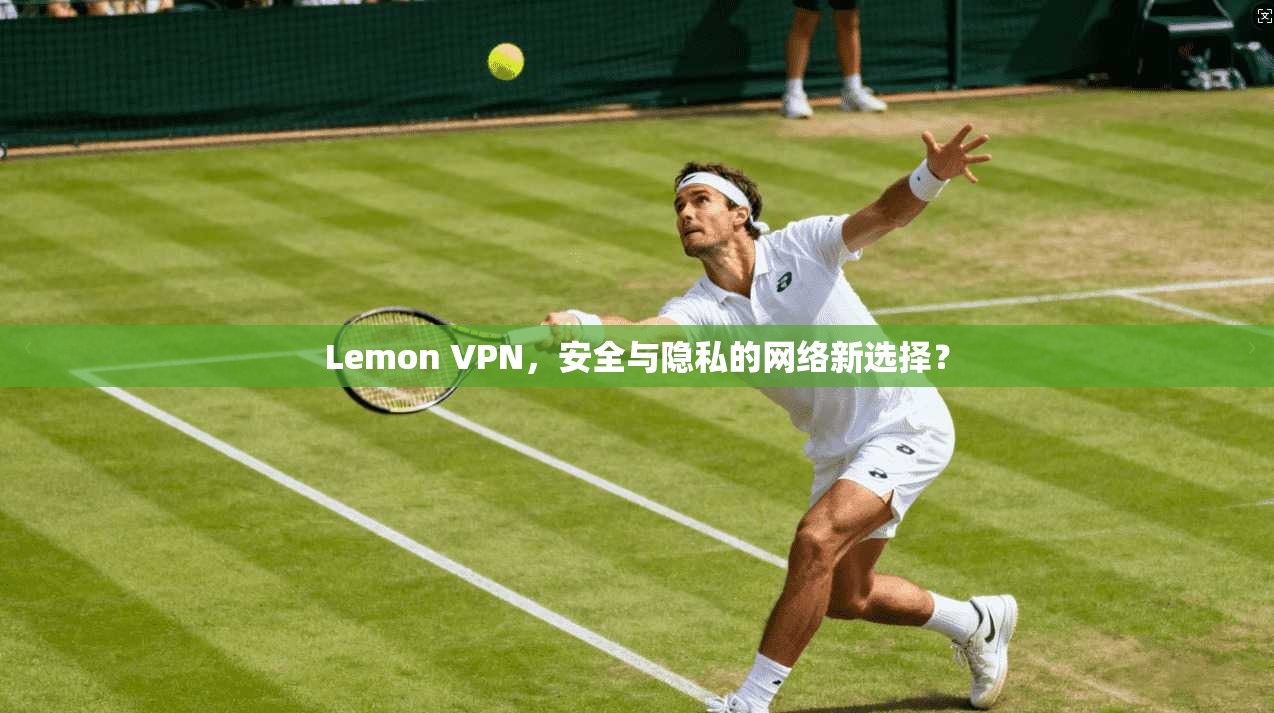 Lemon VPN，安全与隐私的网络新选择？