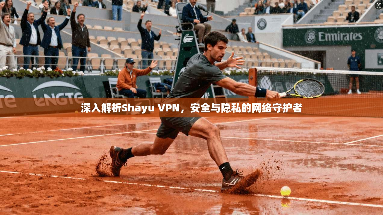 深入解析Shayu VPN，安全与隐私的网络守护者