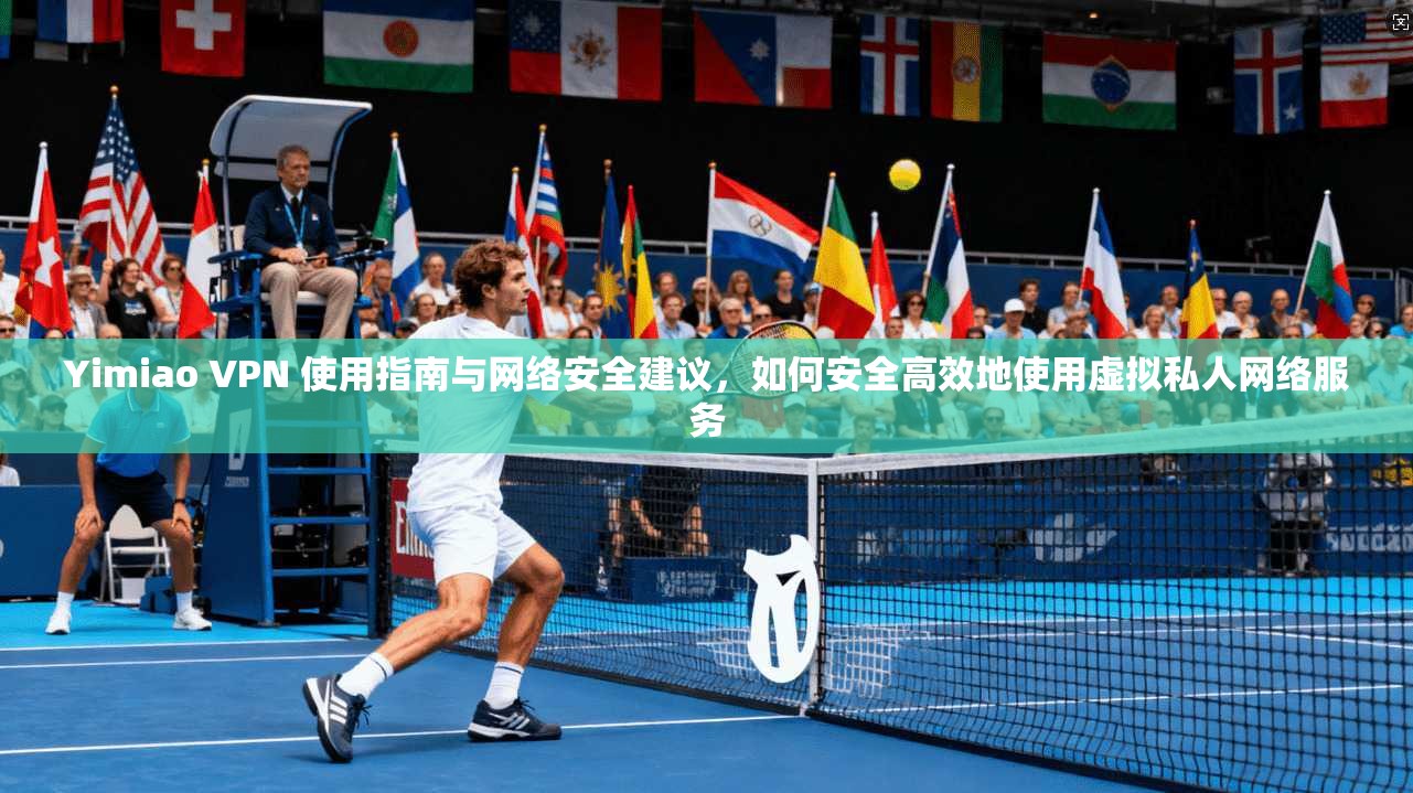 Yimiao VPN 使用指南与网络安全建议，如何安全高效地使用虚拟私人网络服务