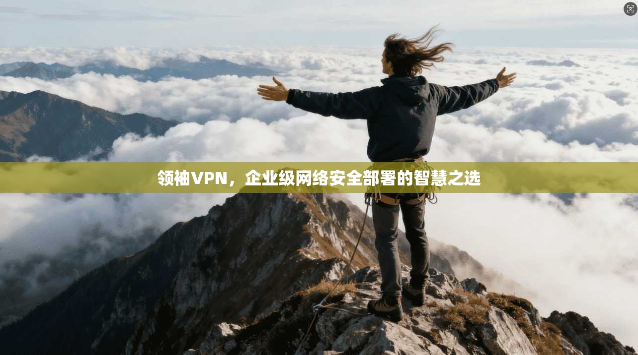 领袖VPN，企业级网络安全部署的智慧之选