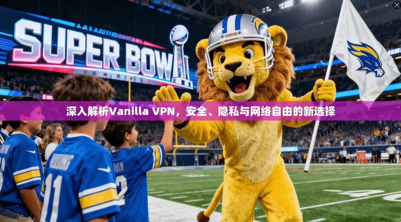 深入解析Vanilla VPN，安全、隐私与网络自由的新选择