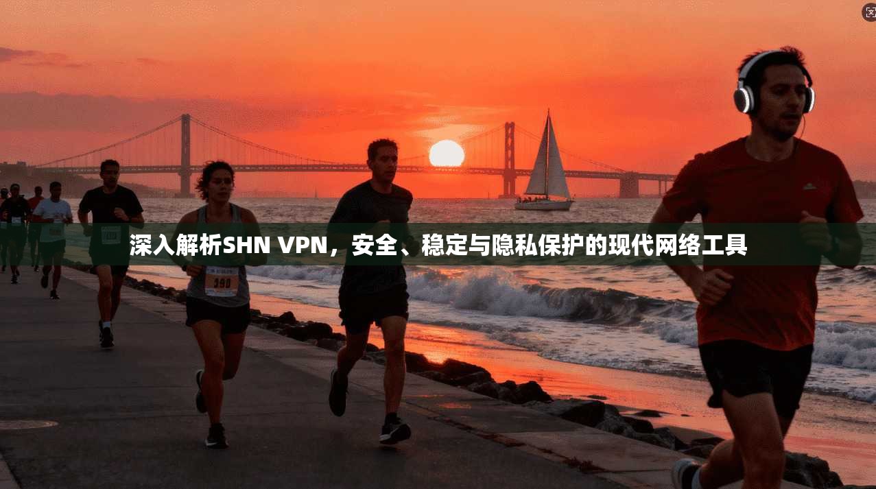 深入解析SHN VPN，安全、稳定与隐私保护的现代网络工具