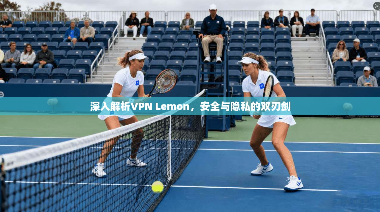 深入解析VPN Lemon，安全与隐私的双刃剑