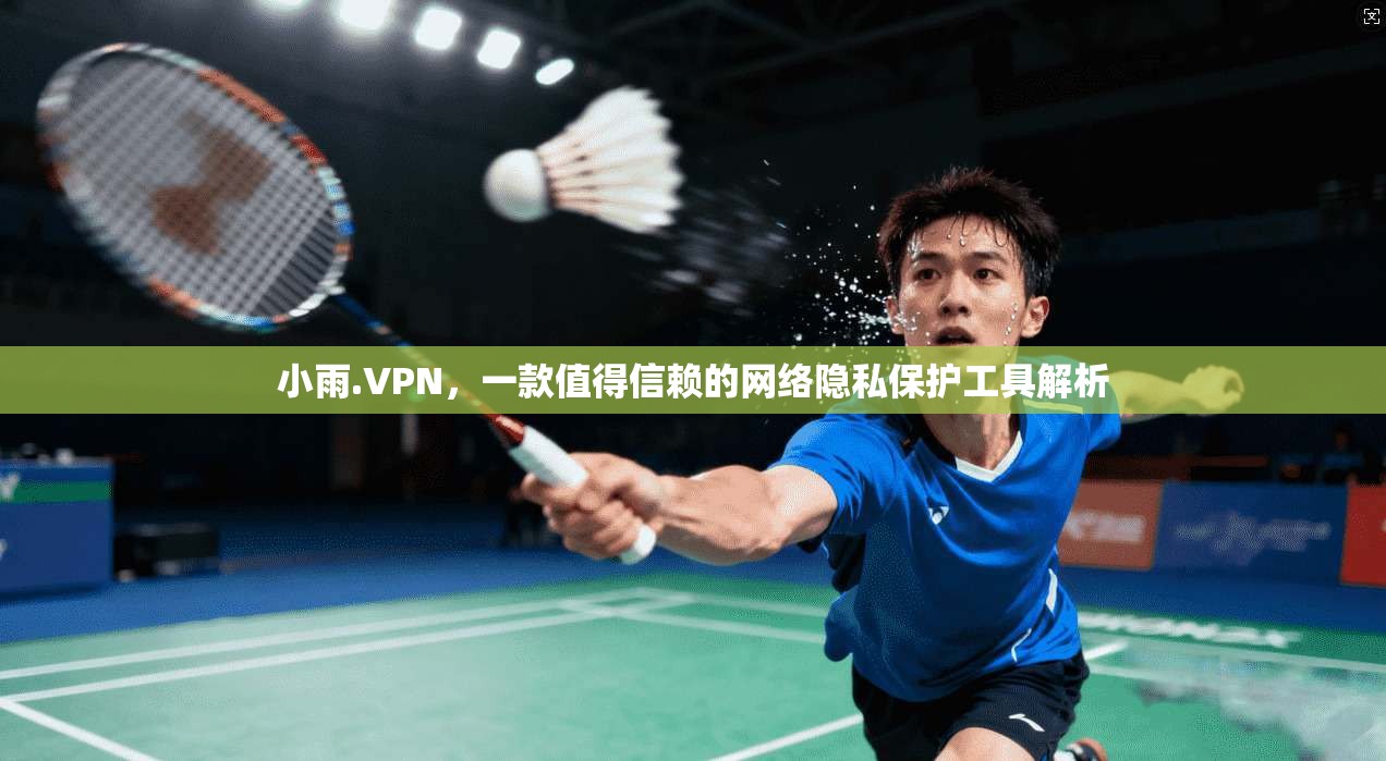 小雨.VPN，一款值得信赖的网络隐私保护工具解析