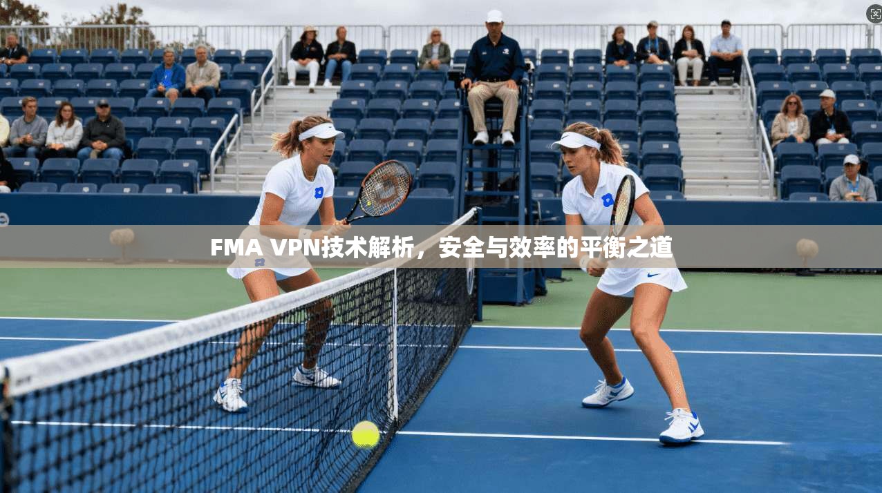 FMA VPN技术解析，安全与效率的平衡之道