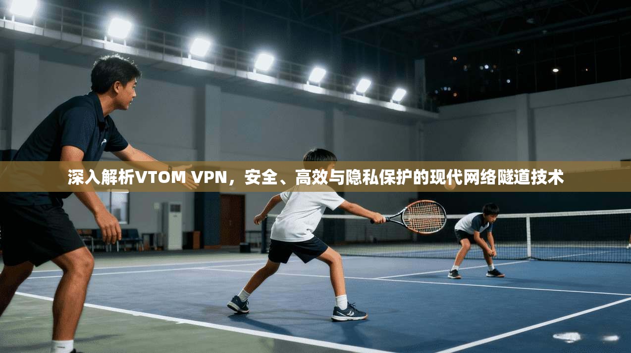 深入解析VTOM VPN，安全、高效与隐私保护的现代网络隧道技术