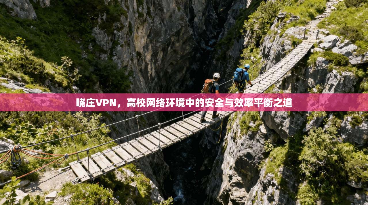 晓庄VPN，高校网络环境中的安全与效率平衡之道