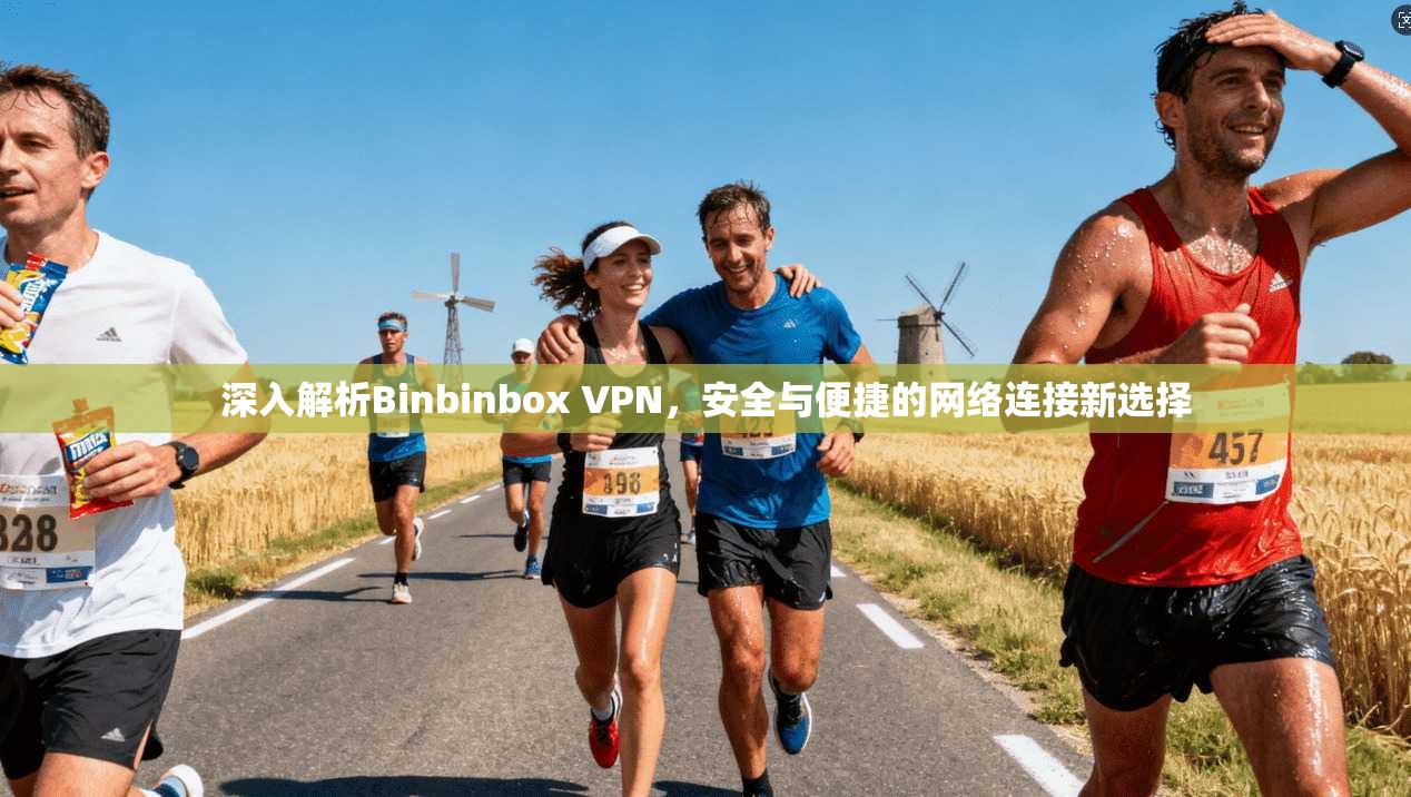 深入解析Binbinbox VPN，安全与便捷的网络连接新选择