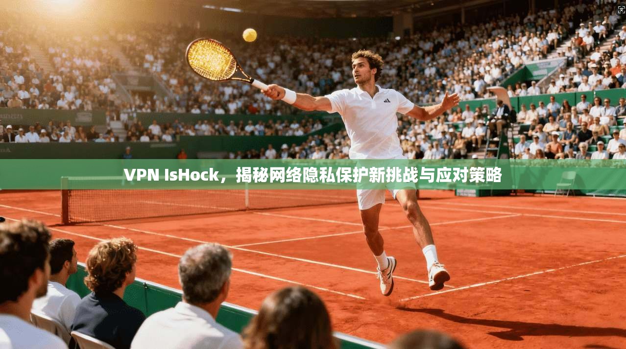 VPN IsHock，揭秘网络隐私保护新挑战与应对策略