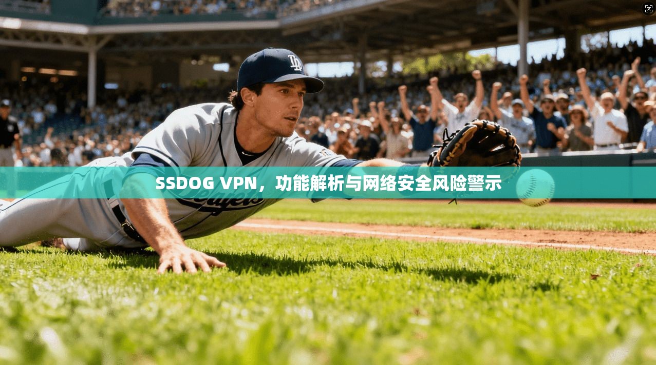 SSDOG VPN，功能解析与网络安全风险警示