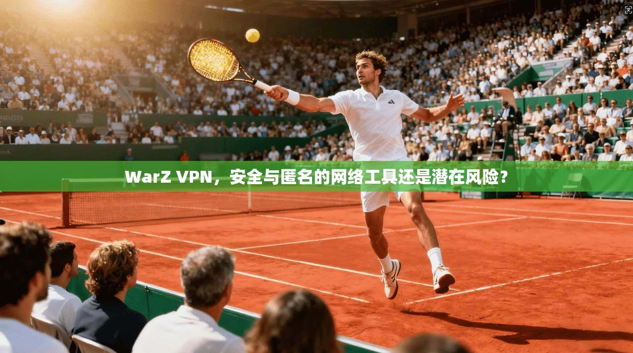 WarZ VPN，安全与匿名的网络工具还是潜在风险？
