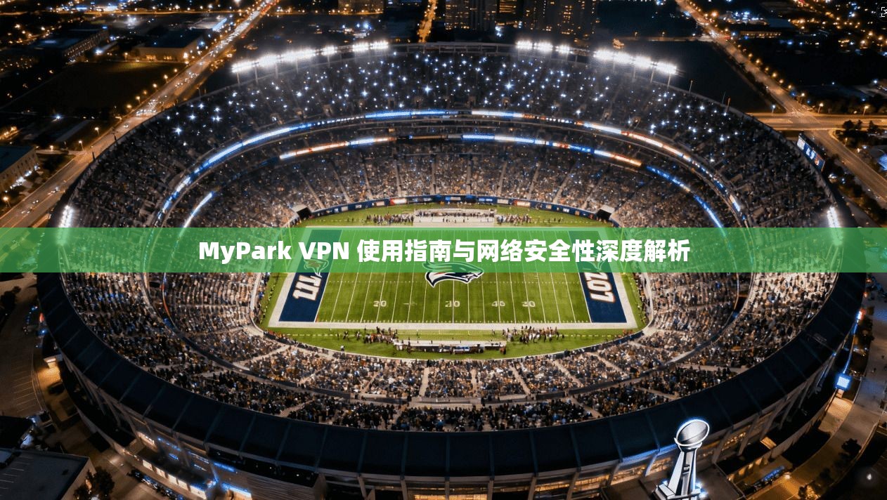 MyPark VPN 使用指南与网络安全性深度解析