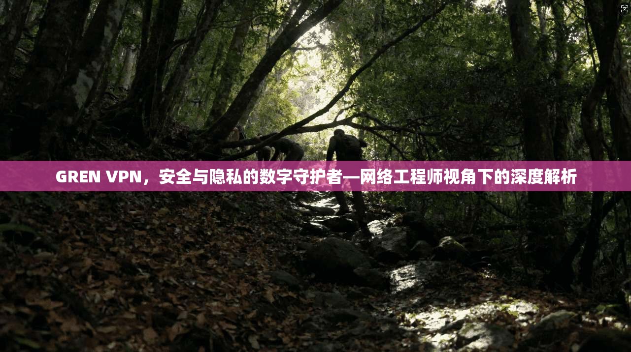 GREN VPN，安全与隐私的数字守护者—网络工程师视角下的深度解析
