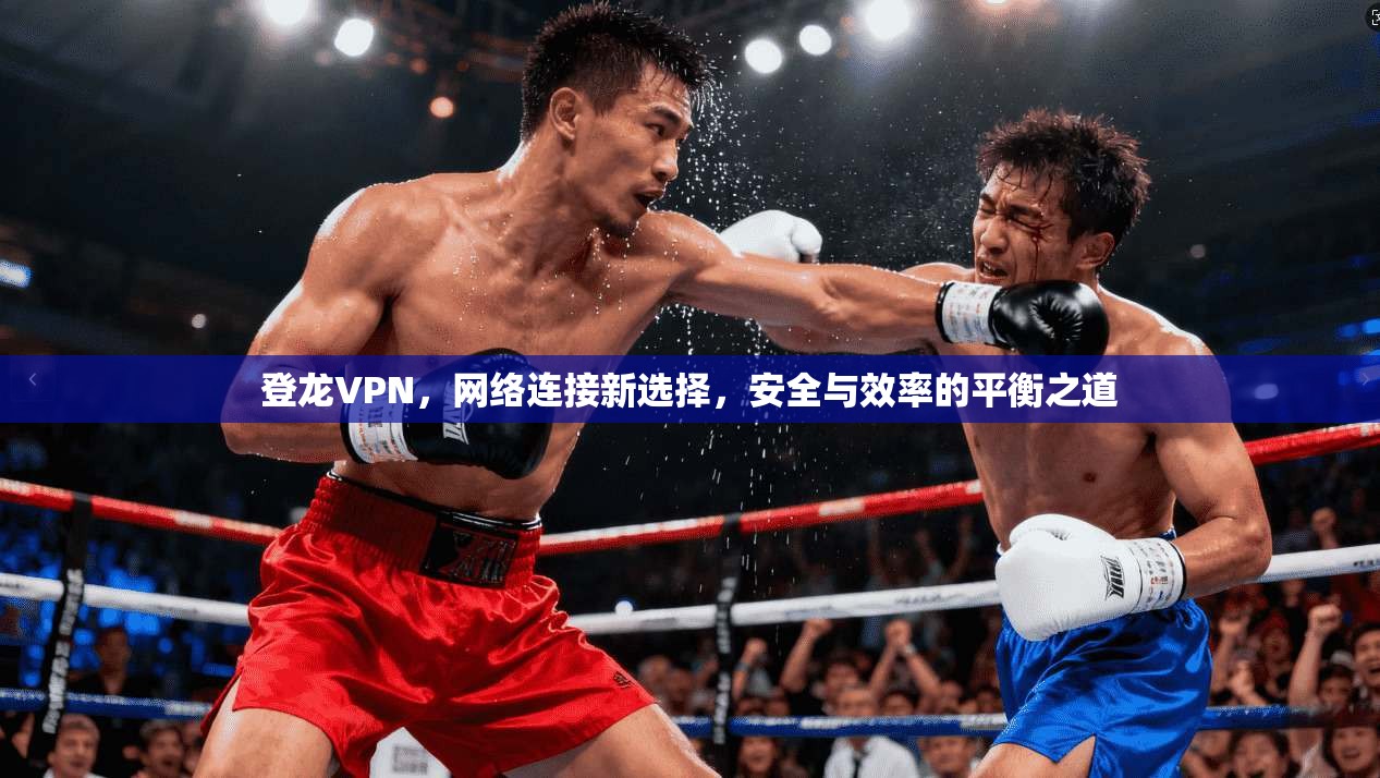登龙VPN，网络连接新选择，安全与效率的平衡之道
