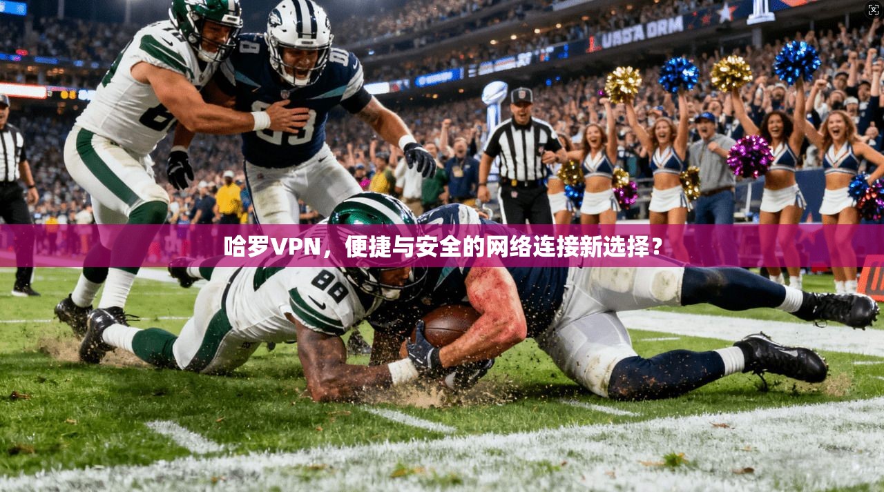 哈罗VPN，便捷与安全的网络连接新选择？