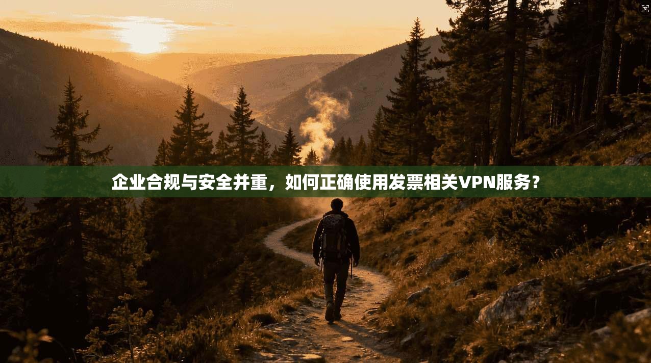 企业合规与安全并重，如何正确使用发票相关VPN服务？