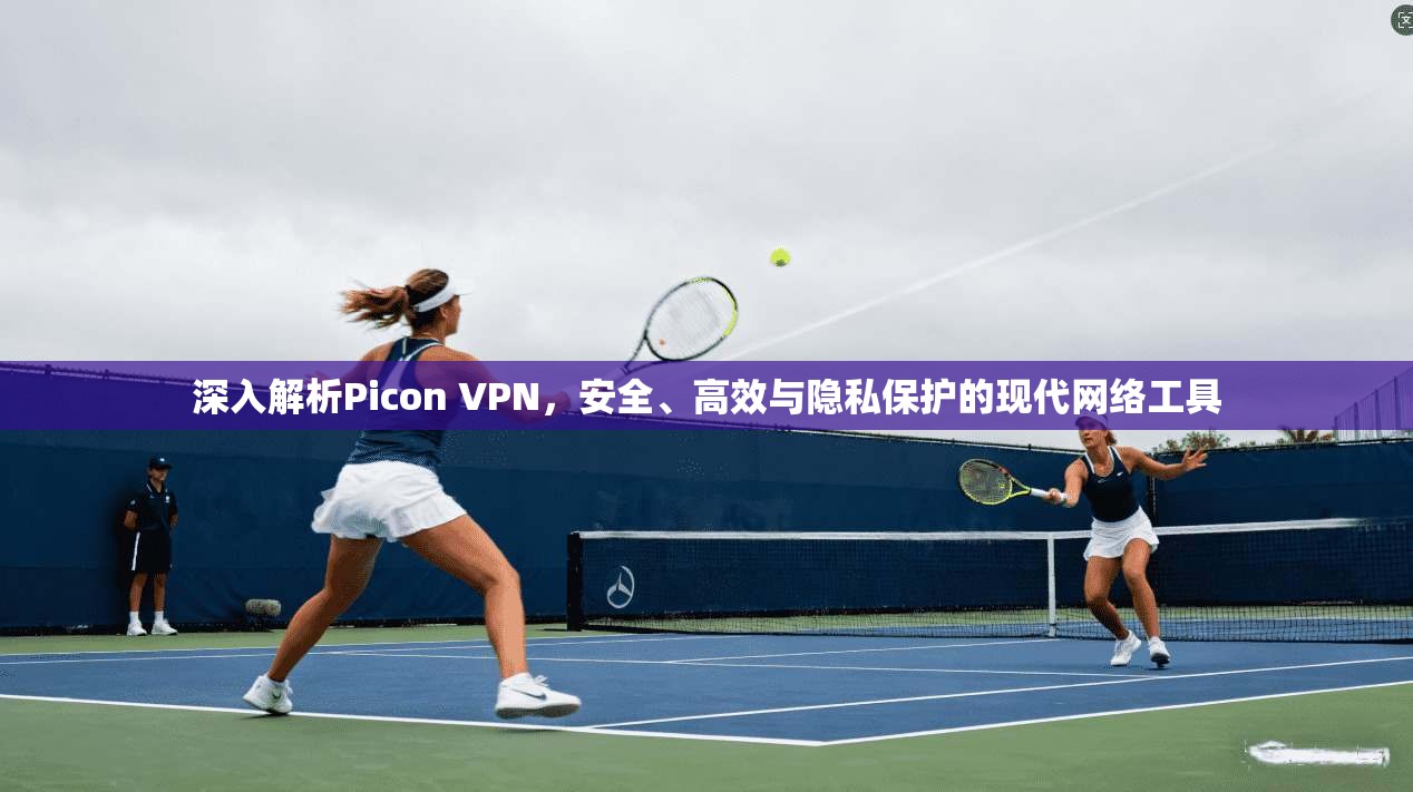 深入解析Picon VPN，安全、高效与隐私保护的现代网络工具