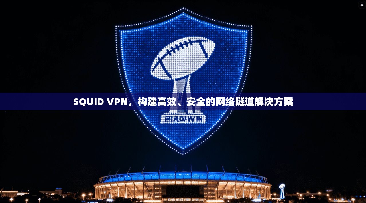 SQUID VPN，构建高效、安全的网络隧道解决方案
