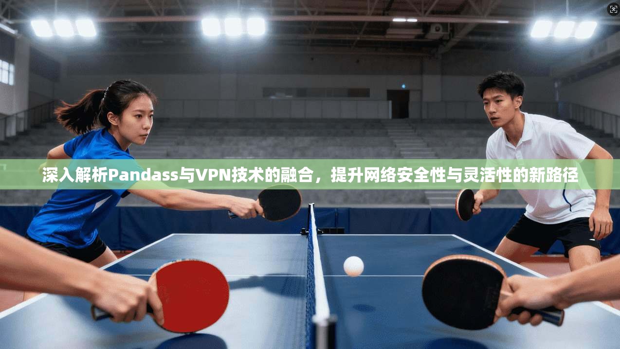 深入解析Pandass与VPN技术的融合，提升网络安全性与灵活性的新路径