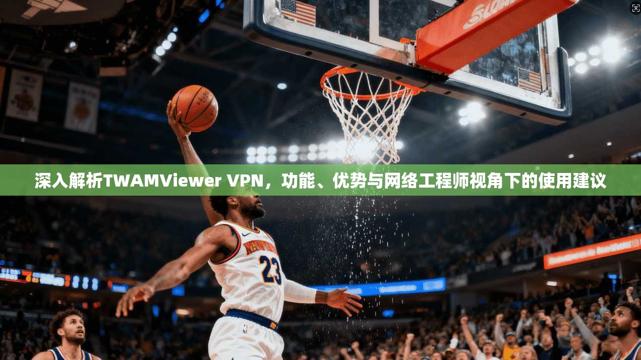 深入解析TWAMViewer VPN，功能、优势与网络工程师视角下的使用建议
