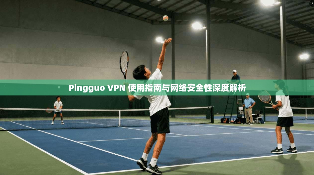 Pingguo VPN 使用指南与网络安全性深度解析