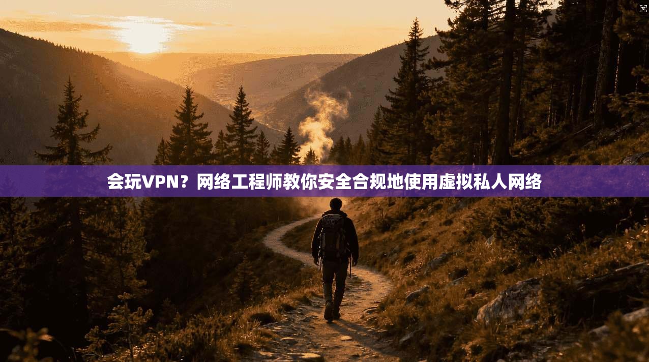 会玩VPN？网络工程师教你安全合规地使用虚拟私人网络
