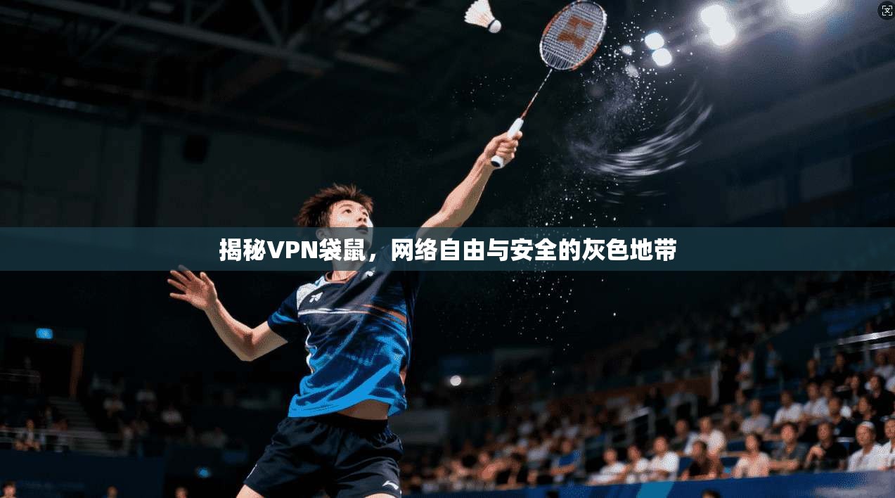 揭秘VPN袋鼠，网络自由与安全的灰色地带