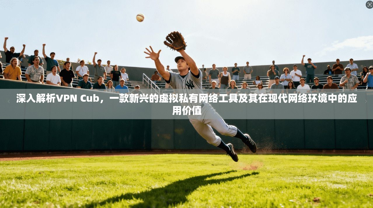 深入解析VPN Cub，一款新兴的虚拟私有网络工具及其在现代网络环境中的应用价值