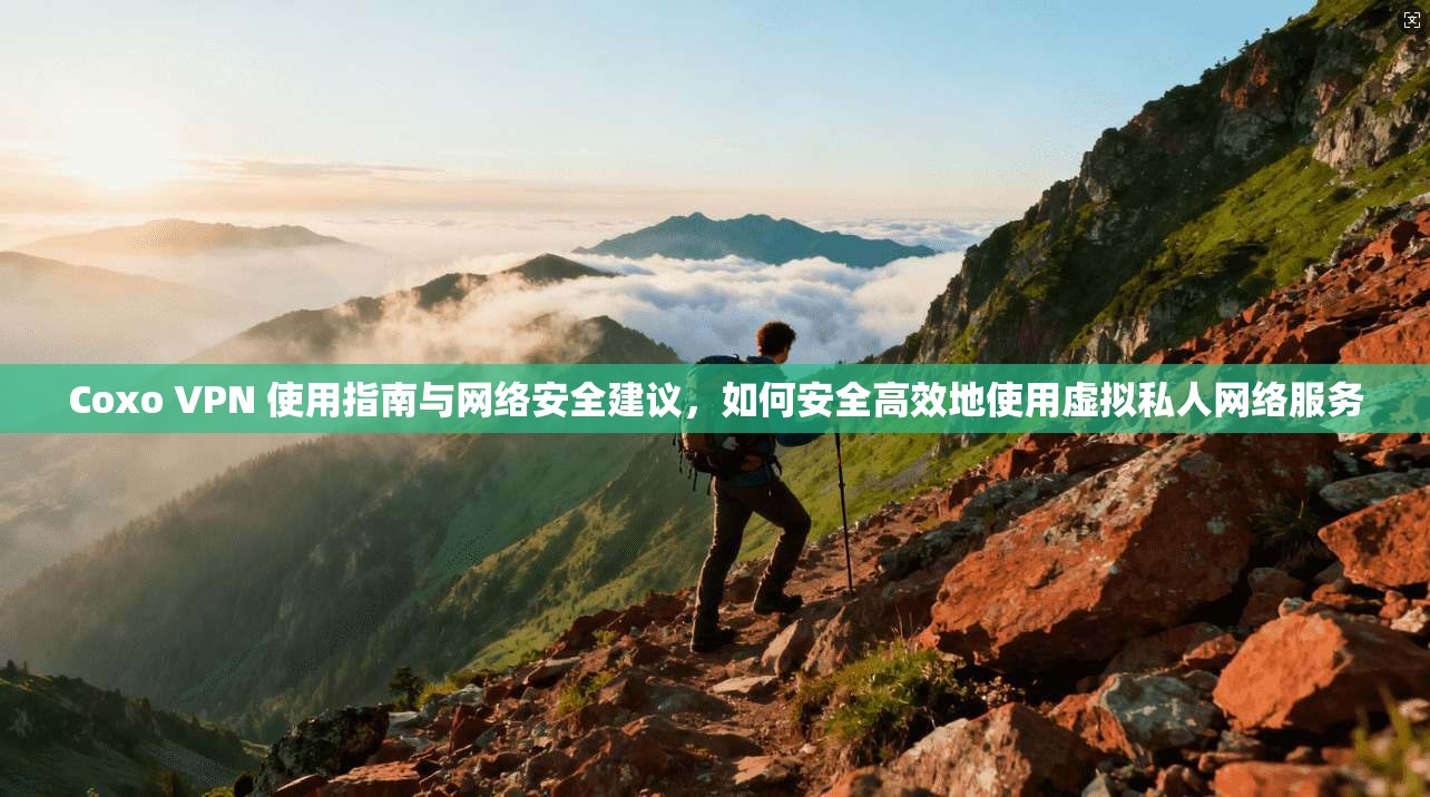 Coxo VPN 使用指南与网络安全建议，如何安全高效地使用虚拟私人网络服务