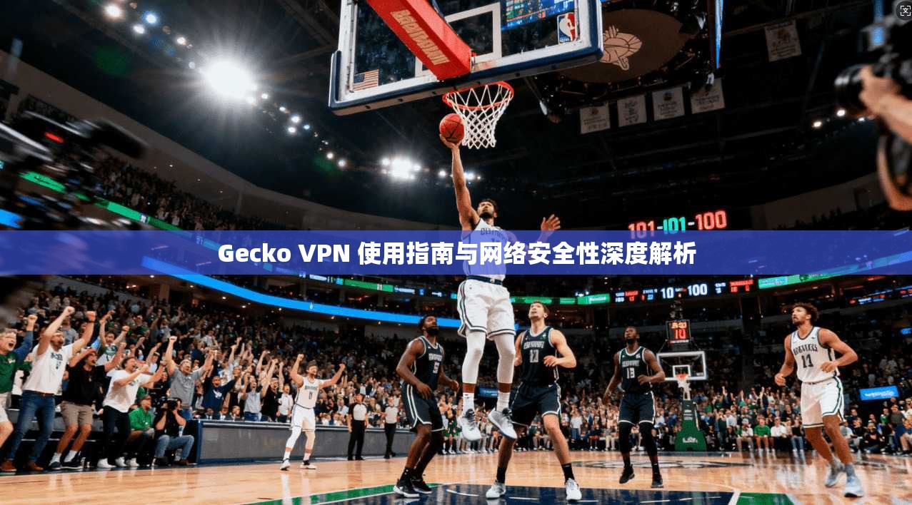 Gecko VPN 使用指南与网络安全性深度解析