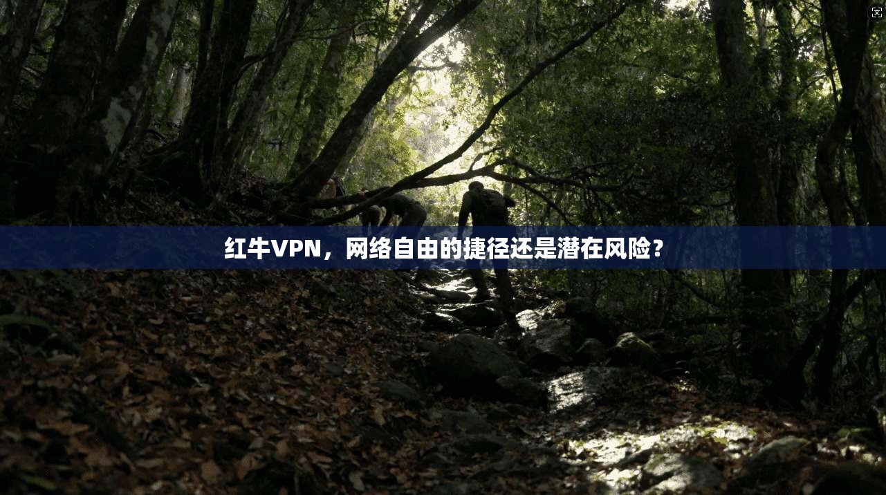 红牛VPN，网络自由的捷径还是潜在风险？