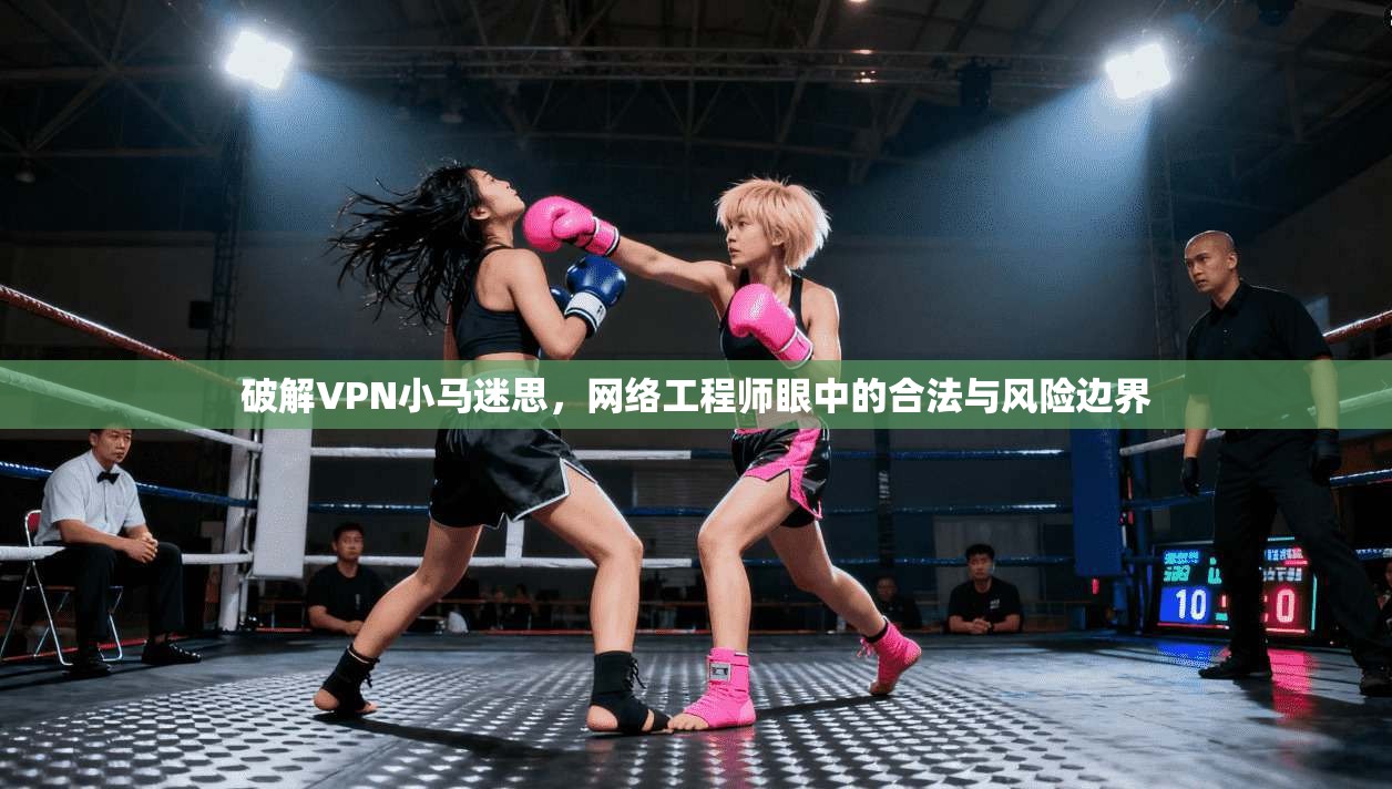 破解VPN小马迷思，网络工程师眼中的合法与风险边界