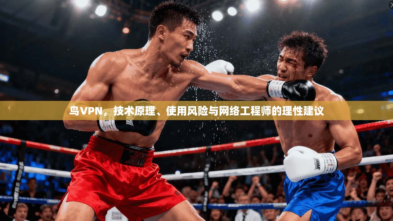 鸟VPN，技术原理、使用风险与网络工程师的理性建议
