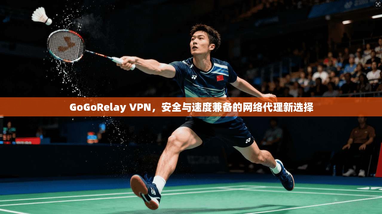 GoGoRelay VPN，安全与速度兼备的网络代理新选择