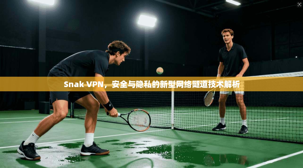 Snak VPN，安全与隐私的新型网络隧道技术解析