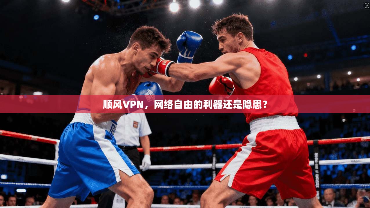 顺风VPN，网络自由的利器还是隐患？