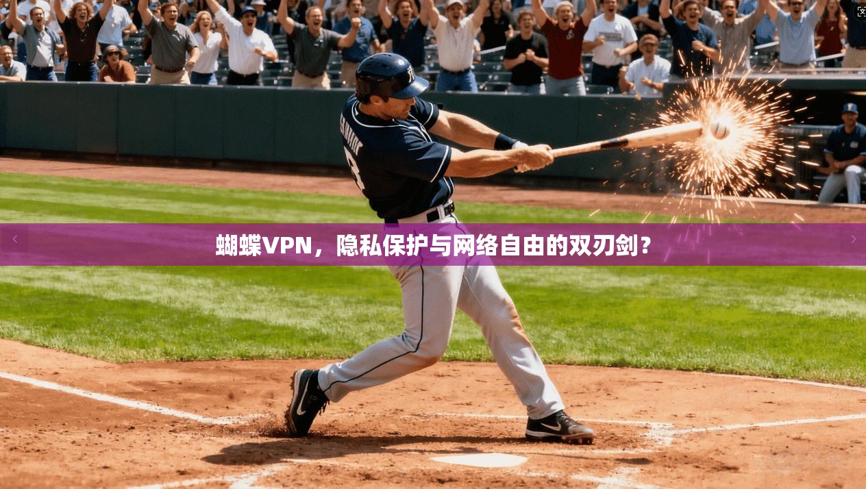 蝴蝶VPN，隐私保护与网络自由的双刃剑？
