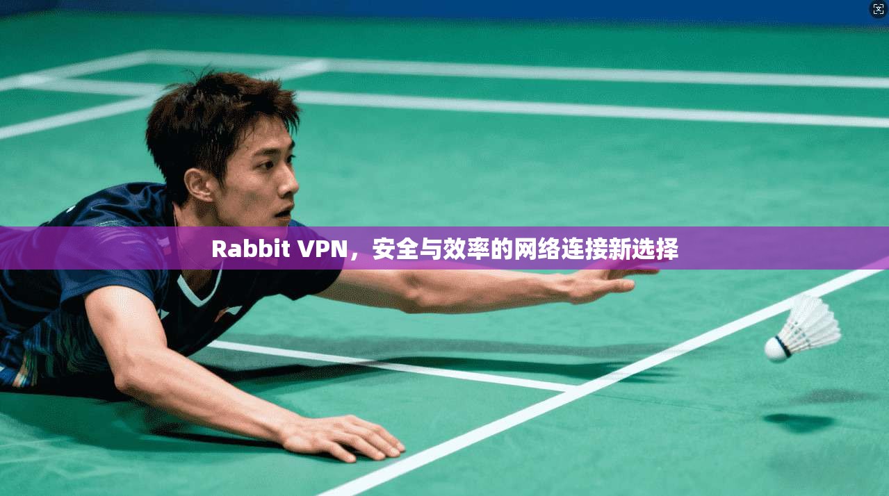 Rabbit VPN，安全与效率的网络连接新选择