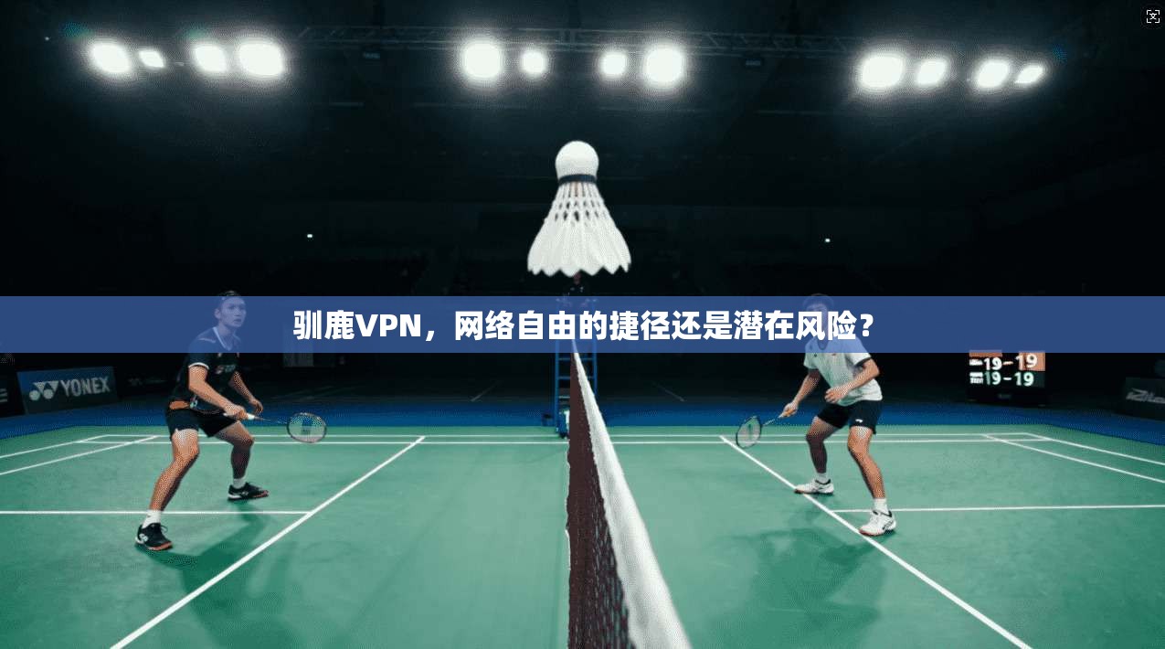 驯鹿VPN，网络自由的捷径还是潜在风险？