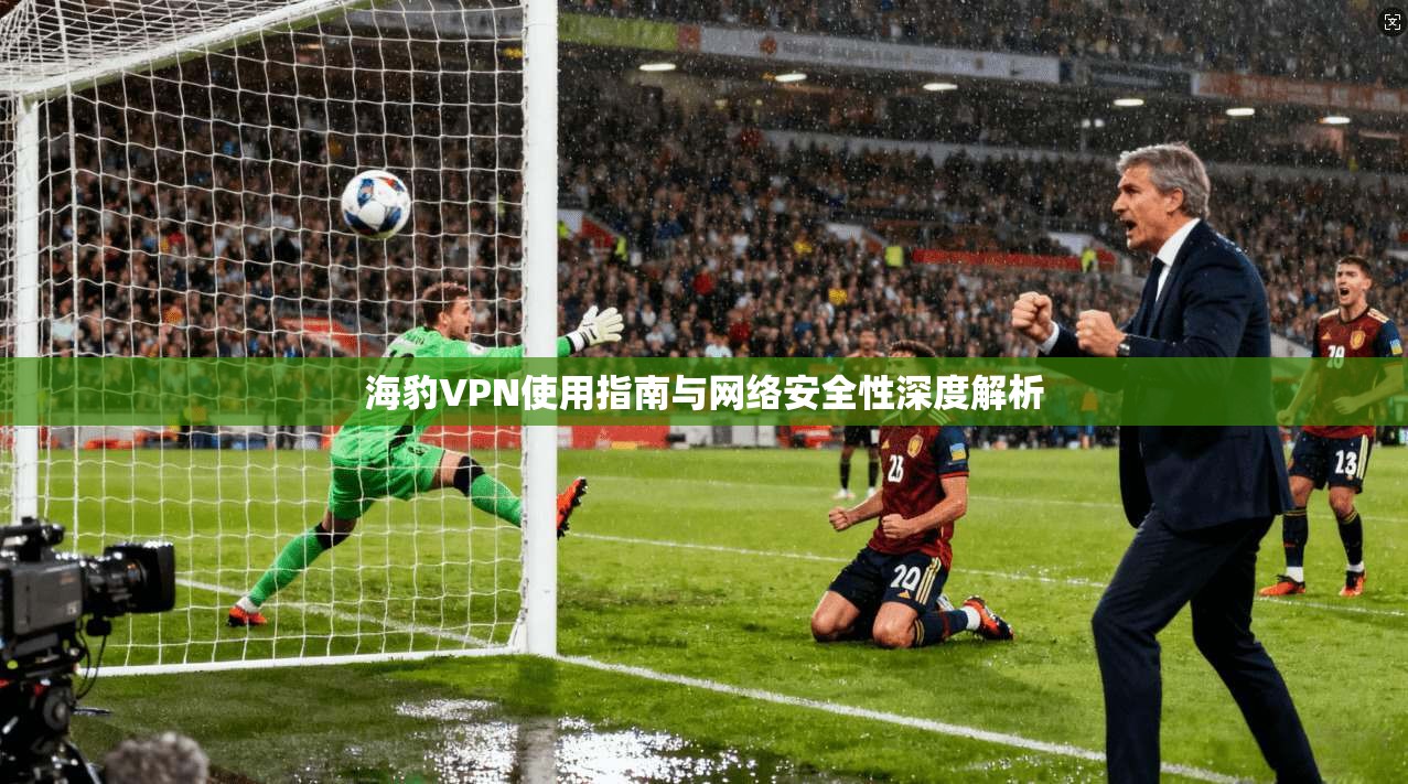 海豹VPN使用指南与网络安全性深度解析