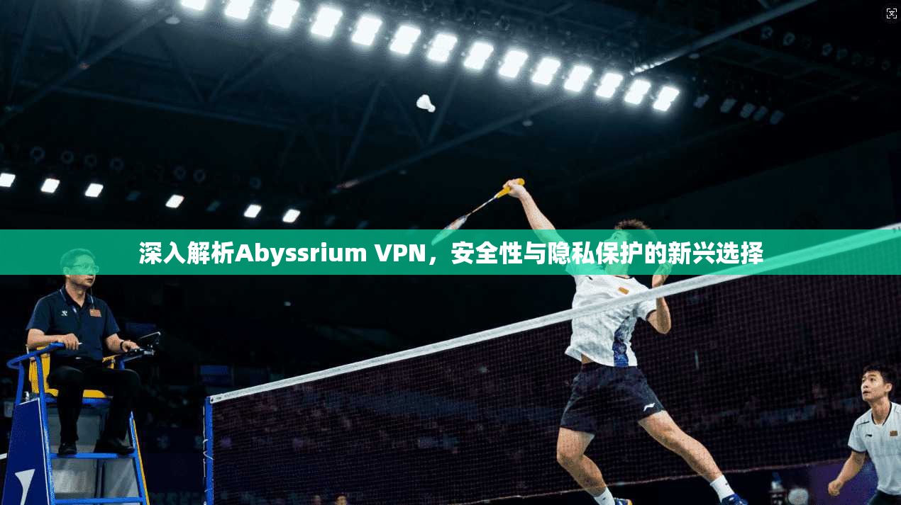 深入解析Abyssrium VPN，安全性与隐私保护的新兴选择