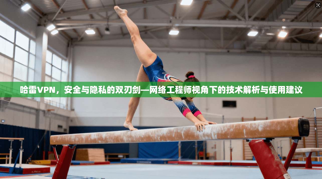 哈雷VPN，安全与隐私的双刃剑—网络工程师视角下的技术解析与使用建议